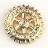 distintivo-associado-rotary-importado-7-mm-dourado