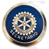 distintivo-cd-luxo-secretario