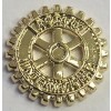 distintivo-p-colar-15-mm