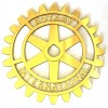 roda-rotaria-35-cms