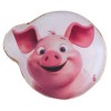 pin-porquinho