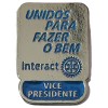 pin-mp-2025-26-vice-presidente-interact