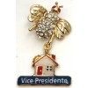 broche-abelha-casa-da-amizade-vice-presidente