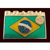 pin-bandeira-do-brasil