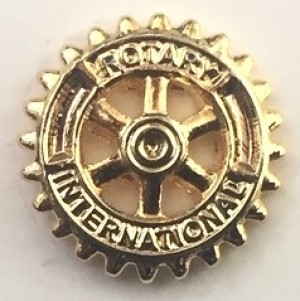distintivo-associado-rotary-importado-9-mm-dourado