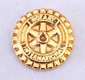 distintivo-associado-rotary-6-mm-dourado