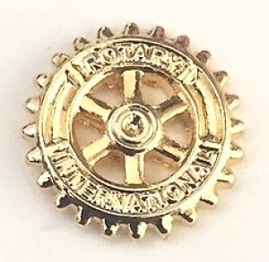 distintivo-associado-rotary-importado-7-mm-dourado
