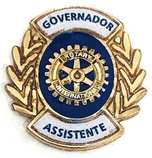 pin-governador-assistente