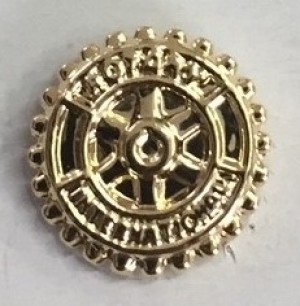 distintivo-associado-rotary-9-mm-nao-vazado-dourado