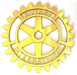 roda-rotaria-25-cms