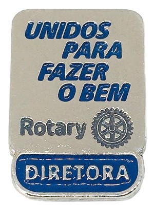 pin-mp-2025-26-diretora