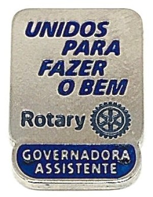 pin-mp-2025-26-governadora-assistente