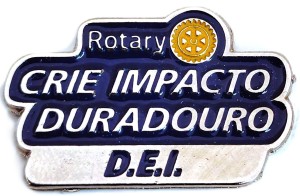 Pin MP 2026-27 D.E.I. Rotary