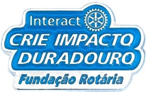 Pin MP 2026-27 Fundação Rotária Interact