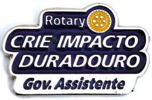 Pin MP 2026-27 Gov. Assistente Rotary