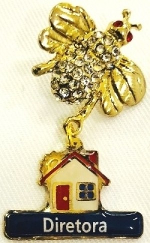 broche-abelha-casa-da-amizade-diretora