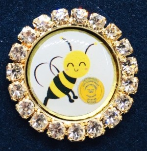Pin Abelha Casa da Amizade com strass