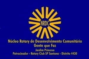 bandeira-oficial-nrdc