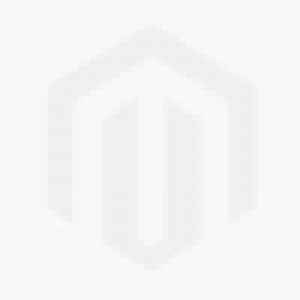 trofeu-lema-2024-25-rotary-em-acrilico