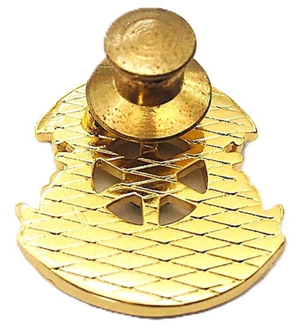 pin-governador-eleito-2025-26