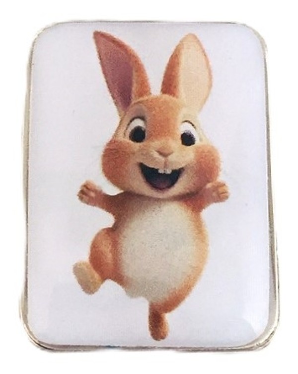pin-coelho