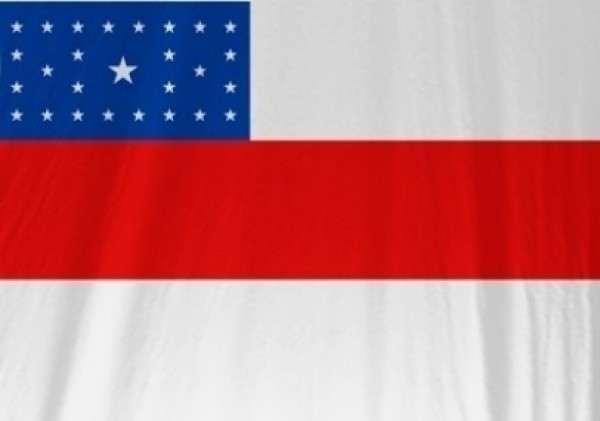 Bandeira Do Estado Do Amazonas Bandeiras